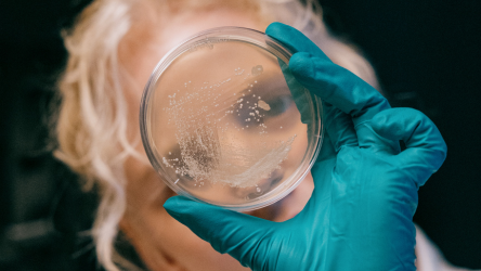 Læs Molekylærbiologi og molekylærmedicin